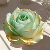 A light green rose made of silicone petals with gold accents, shown in natural sunlight.