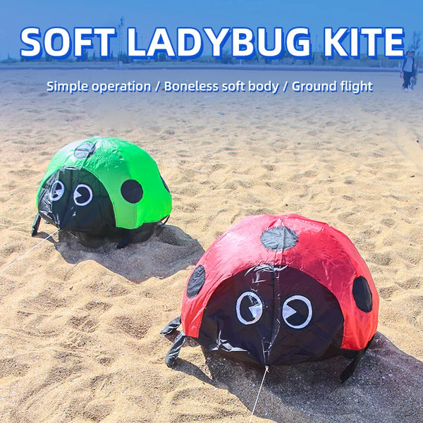 Two soft ladybug kites, one green and one red, are shown on sand.