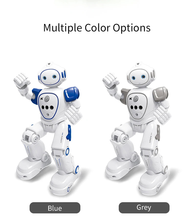 Interactive Dancing Robot with Remote Control and Gesture Sensing