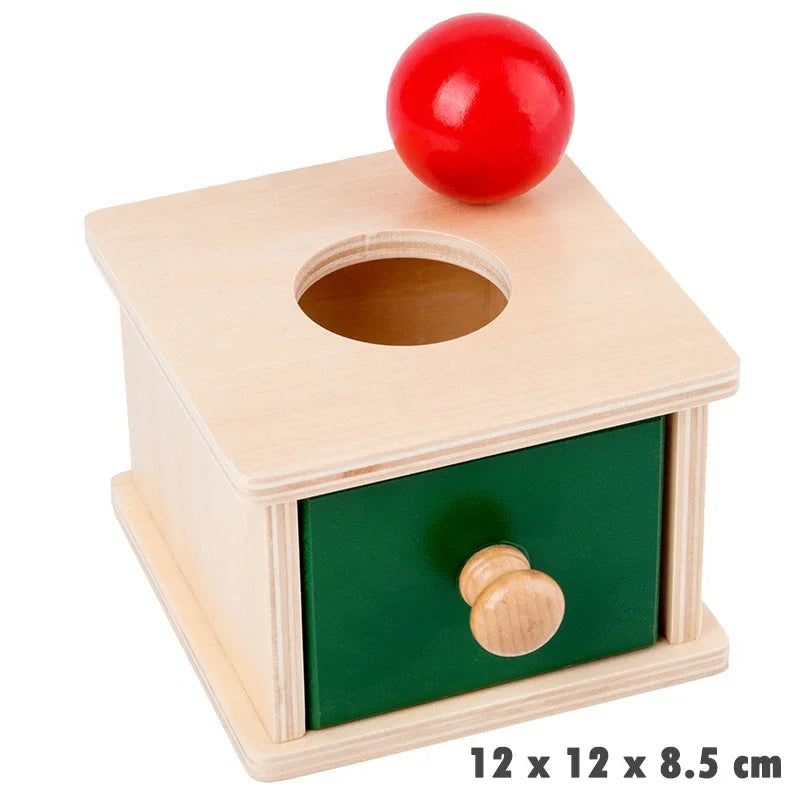 Wooden Montessori Object Permanence Toy for Toddlers