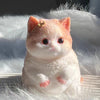 Chubby Cat Squeeze Stress Relief Toy