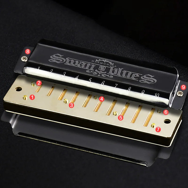 10-Hole C Diatonic Harmonica with Carrying Case
