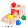 Wooden Montessori Object Permanence Toy for Toddlers