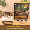 A box of Triceratops excavation kits with fossil replicas and goggles displayed on a wooden surface.