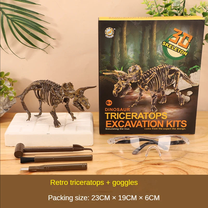 A box of Triceratops excavation kits with fossil replicas and goggles displayed on a wooden surface.