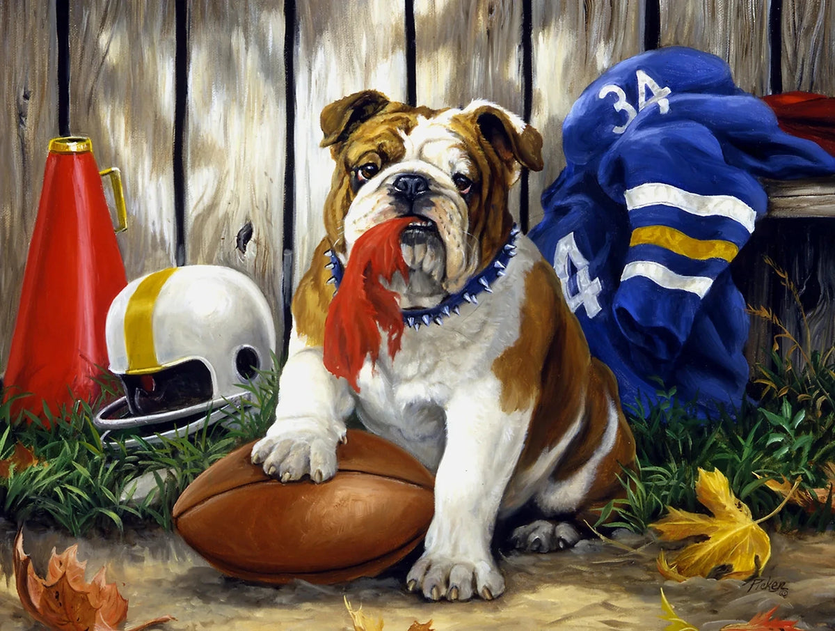 A bulldog sits in front of a wooden fence with a red jug and a blue shirt, next to an American football.