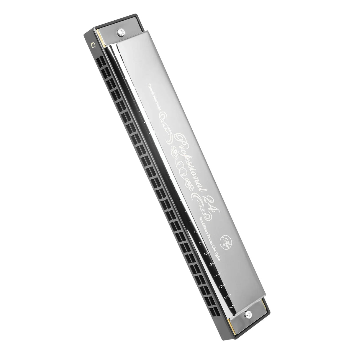 A silver 24-hole C tone tremolo harmonica with a protective hard case.