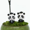 A pair of black and white panda miniature animal figurines displayed on a mossy green surface.