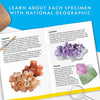 Mega Gemstone Dig Kit for Kids - STEM Excavation Toy