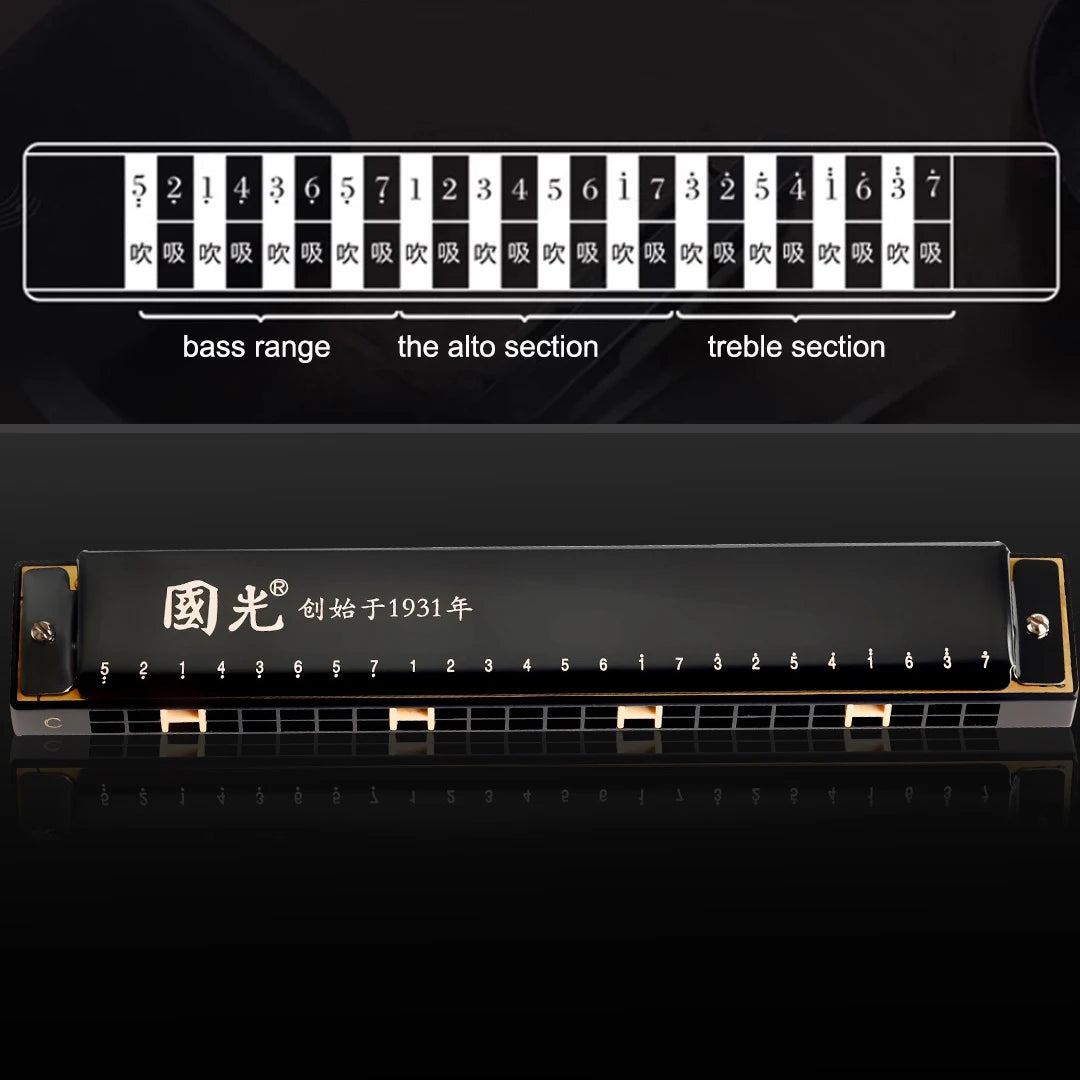 24-Hole Tremolo Harmonica in C with Carrying Case