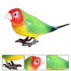 Realistic Bird Figurine Set – Educational PVC Models for Kids and Collectors