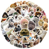 A collection of funny animal meme stickers featuring various dogs and other animals.