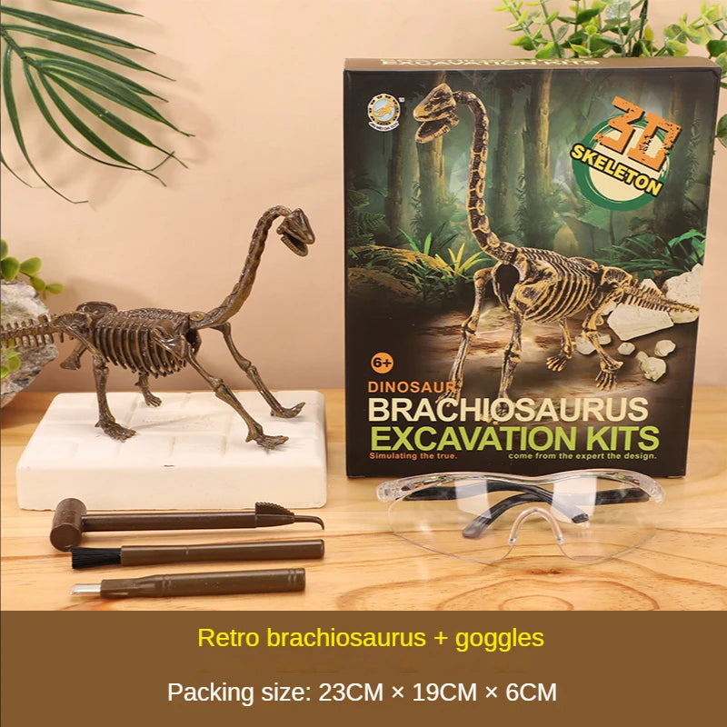 A box set of dinosaur excavation kits featuring a Brachiosaurus skeleton model and goggles.