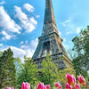 A vibrant painting of the Eiffel Tower against a blue sky, surrounded by green trees and pink tulips.