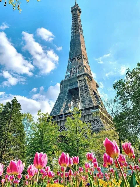 A vibrant painting of the Eiffel Tower against a blue sky, surrounded by green trees and pink tulips.