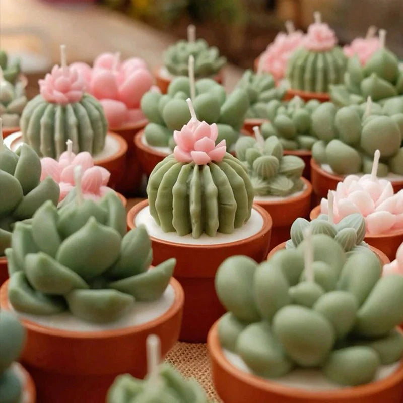 A collection of pink and green silicone cactus and succulent molds used for crafting candles, soap, and plaster