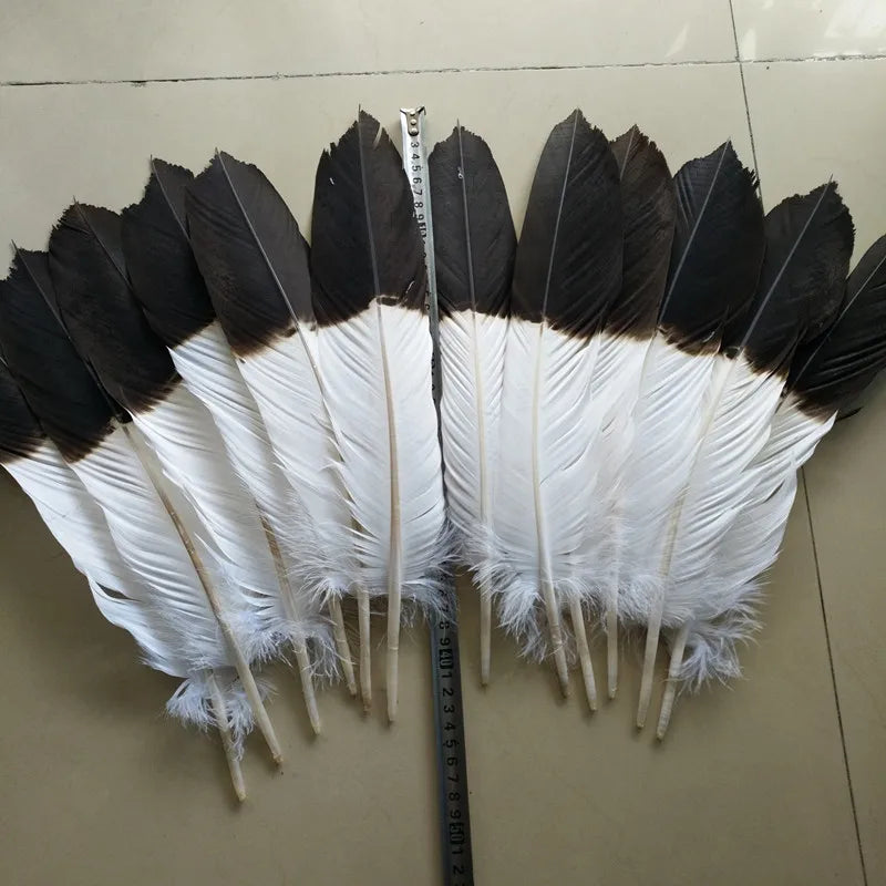 Set of 12 Natural Two-Color Eagle Tail Feathers for DIY Crafts