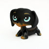 A black dachshund bobblehead figurine with light blue eyes and tan markings.