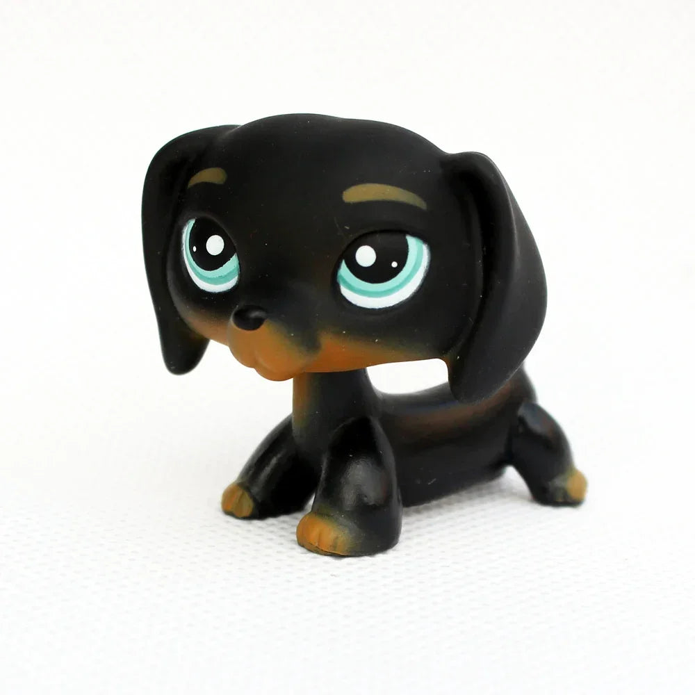 A black dachshund bobblehead figurine with light blue eyes and tan markings.