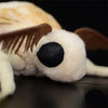 A close-up of a cute silk moth plushie with soft white fur and large black eyes resting on a dark surface.