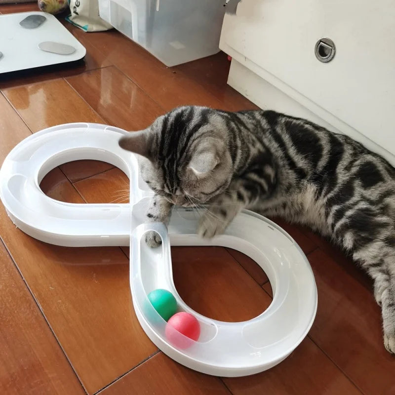 A tabby cat is interacting with a white interactive cat turntable toy featuring a tunnel and a ball.