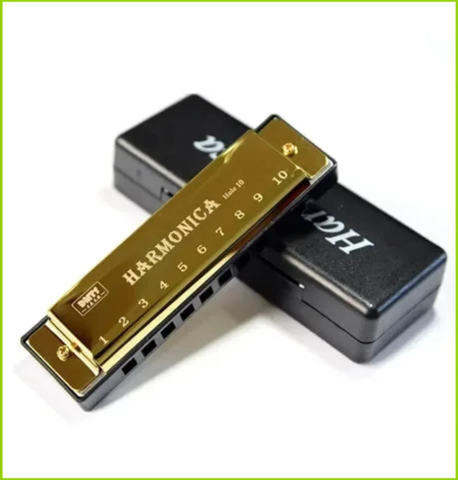 Une harmonica de couleur or à côté de son étui noir, avec des trous numérotés.
