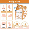 Montessori English Word Learning Cards for Kids