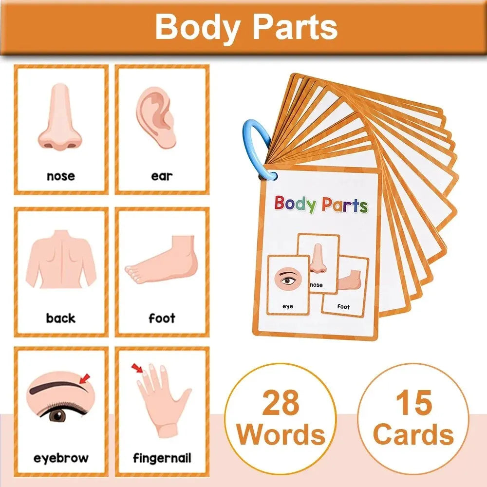 Montessori English Word Learning Cards for Kids
