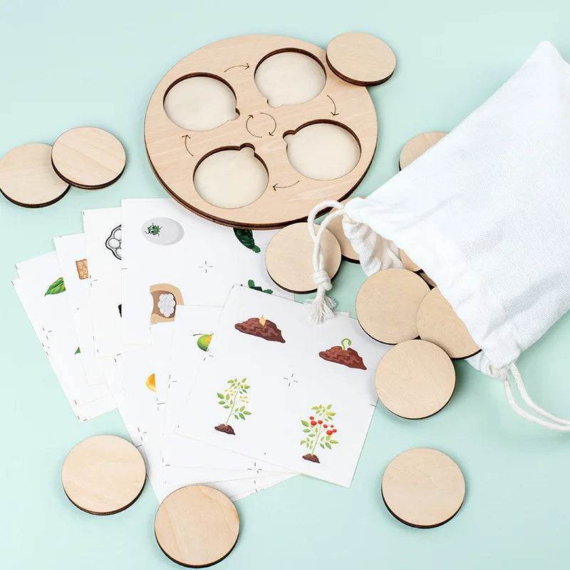 A wooden learning set featuring various circular pieces illustrating the animal and plant life cycle.