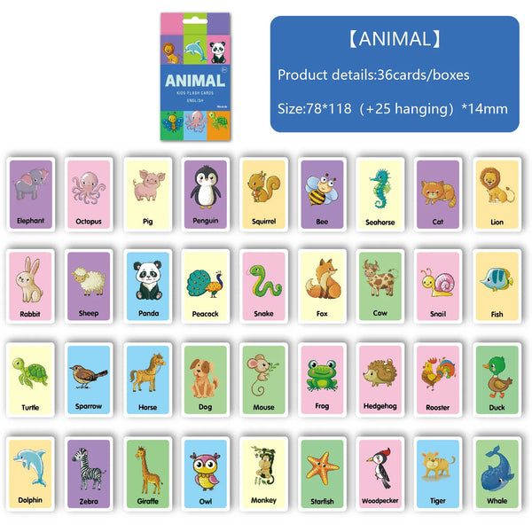 Animal Shape Color & Time Learning Flash Cards for Kids