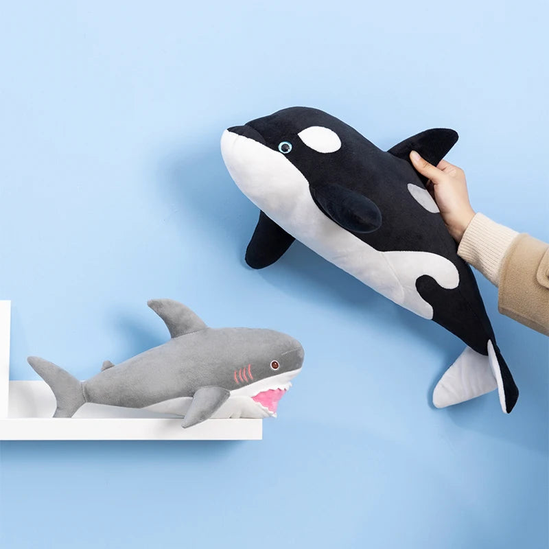 A hand is holding a black and white killer whale plush toy above a gray great white shark plush toy on a light blue wall.
