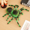 Realistic Tarantula Spider Plush Toy - Soft Cuddly Halloween Stuffed Animal