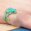 Cute Green Tree Frog Adjustable Ring