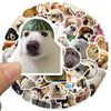 A collection of funny animal meme stickers featuring various dogs and animals.