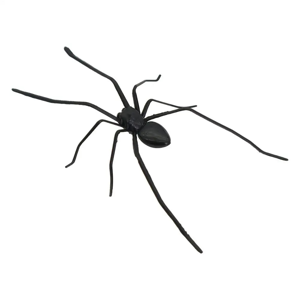 Realistic Spider Fridge Magnet – Fun Prank Decor