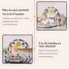 Interactive Baby Play Mat with Music, Lights & 5 Sensory Toys