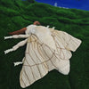 Moth Plush Stuffed Animal Toy – Soft and Cuddly Insect Collectible