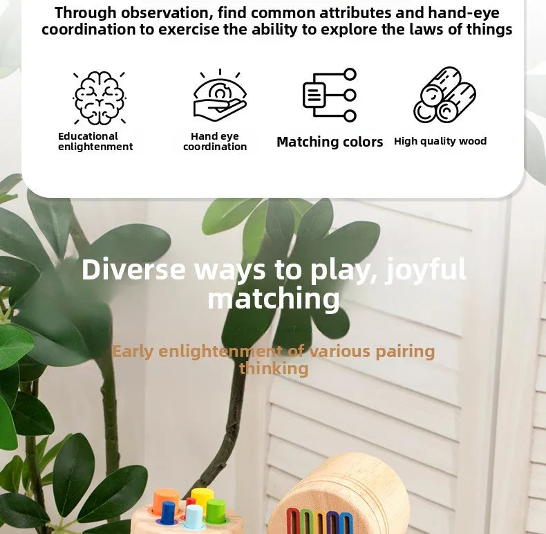 Wooden Montessori Color Sorting Toy for Toddlers