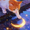 An orange and white cat dips its paw into dark blue water, reflecting a golden crescent moon.