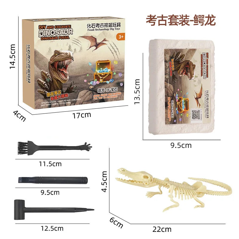 A dinosaur fossil dig kit for kids showing various tools and a fossil replica.