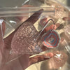 A hand holds a pink strawberry squishy fidget toy inside clear packaging.