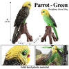 Realistic Bird Figurine Set – Educational PVC Models for Kids and Collectors