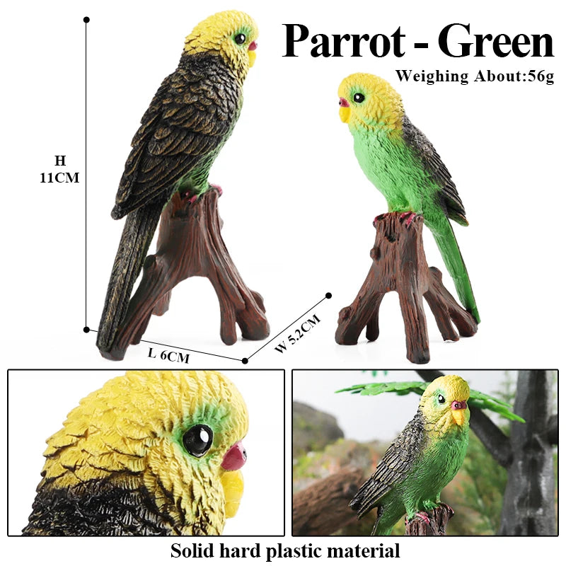 Realistic Bird Figurine Set – Educational PVC Models for Kids and Collectors