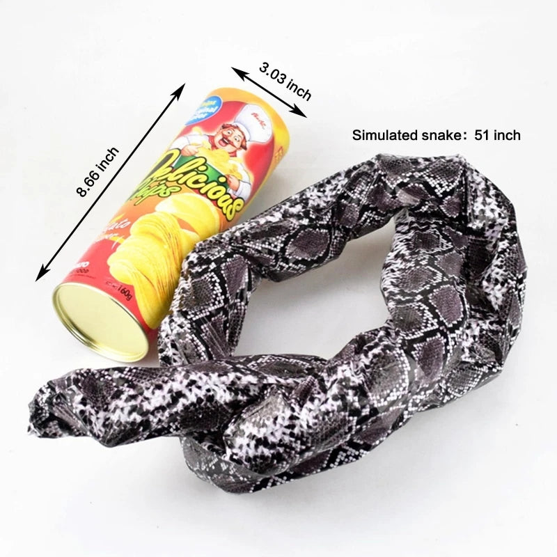 Surprise Prank Snake in a Potato Chip Can