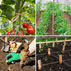 Natural jute twine wrapped around a plant stem and used for gardening or craft projects.