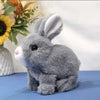A gray rabbit plush toy with large ears and pink nose sitting on a blue surface.