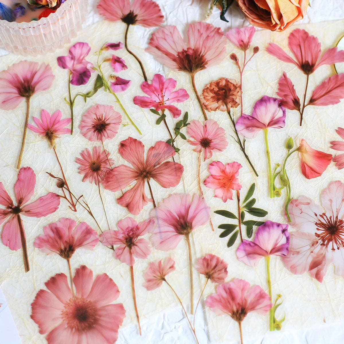 A collection of 50 transparent pink and purple floral PET stickers for journals and crafts.