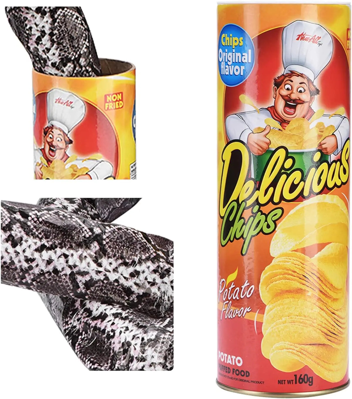 Surprise Prank Snake in a Potato Chip Can