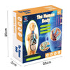 A box for The Human Body science kit featuring a model of the human body and anatomy components.