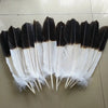 Set of 12 Natural Two-Color Eagle Tail Feathers for DIY Crafts